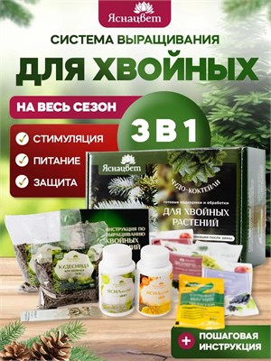 НАБОР для ХВОЙНЫХ 1673